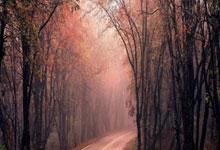 法官直播卖螃蟹：司法创新与网络营销的跨界融合